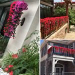 🔥 Last Day Promotion 50% OFF 🔥 Vivid Artificial Hanging Orchid Bunch🌷