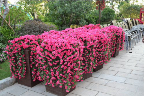 🔥 Last Day Promotion 50% OFF 🔥 Vivid Artificial Hanging Orchid Bunch🌷