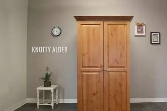 💖💖Storage Cabinet for Multiple Purposes! 🎁Best Gift for Family!